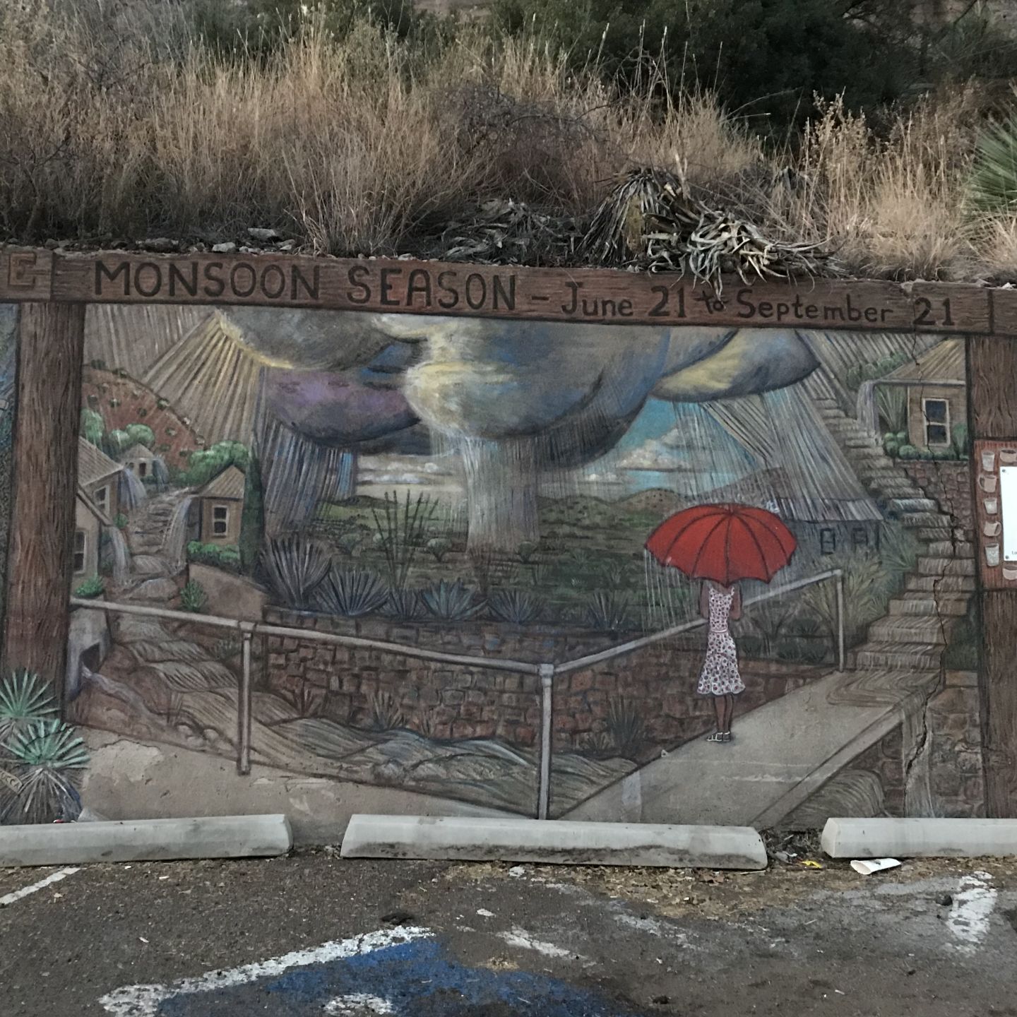 Monsoon season